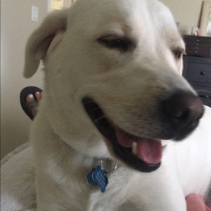 Meet your Posher, Erika